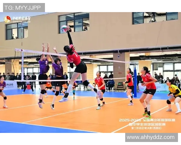 重庆排球队心理素质创新高排球心理素质排名引发广泛关注与讨论