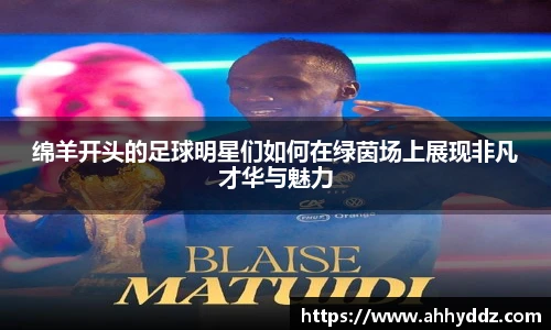 绵羊开头的足球明星们如何在绿茵场上展现非凡才华与魅力